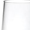 Set of Four Clear Tritan Plastic Stemless All Purpose Tumbler Wine Glasses