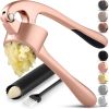 Kitchen Premium Garlic Press Set - Rust Proof Professional Garlic Mincer Tool - Easy-Squeeze
